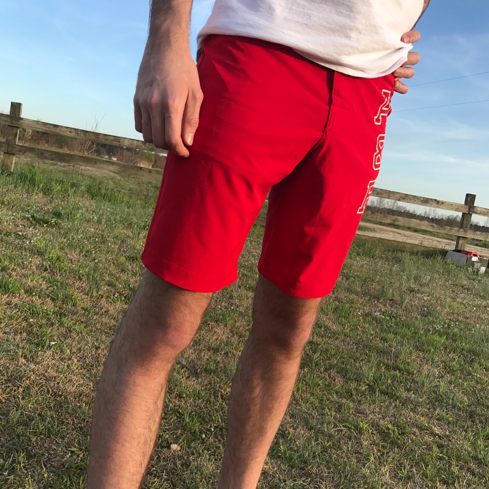 Abercrombie and Fitch Swim trunks - Picture 2 of 7